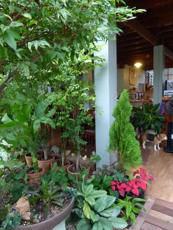 Ban Boonchu Bed & Breakfast Phra Nakhon Si Ayutthaya Luaran gambar